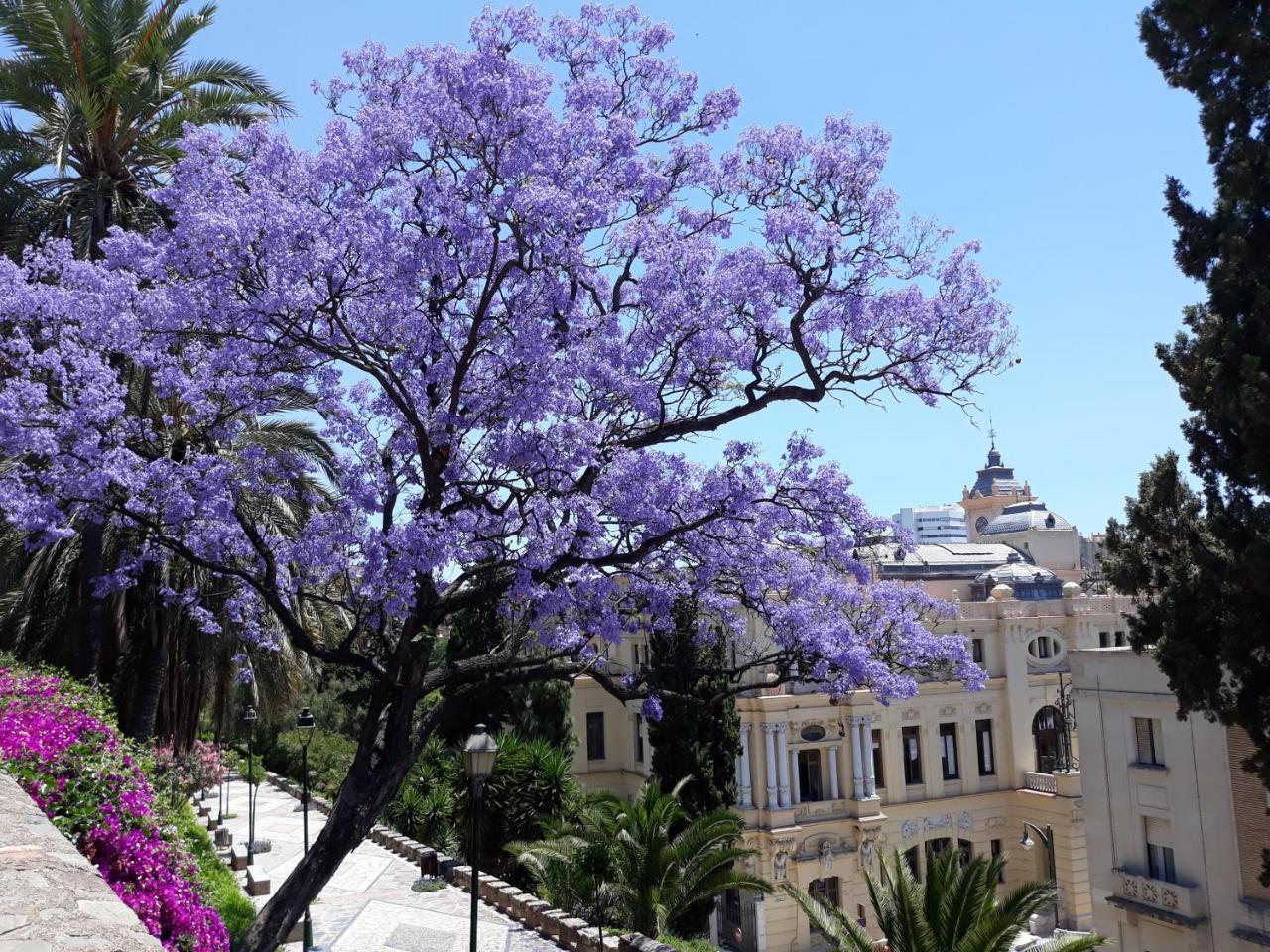 Stay Home & Away In The Heart Of Historical Town Of Málaga Buitenkant foto